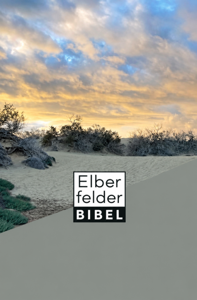 Elberfelder Bibel Taschenausgabe Motiv 'Dünen'